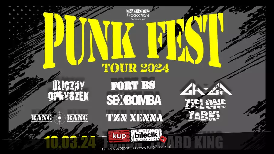 Punk Fest Tour - źródło: www.kupbilecik.pl